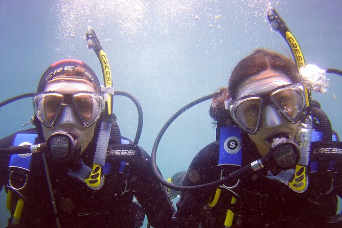 Scuba Diving Experience for Beginners in Gran Canaria - Scuba for Beginners in Gran Canaria: what your half-day actually looks like