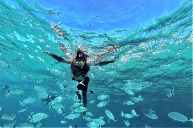 Sea Caves & Coves Snorkeling Paddle Boarding Tour - What’s Included (and What’s Not): Value Breakdown