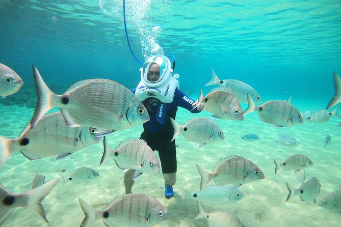 Sea Trek Underwater Walk in Tenerife – No Swimming Required - Before you go in: brief intro, guided entry, locker and gear