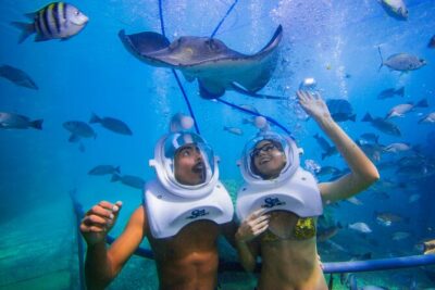 Sea Trek Underwater Walk in Tenerife – No Swimming Required - The underwater walk: 20 to 25 minutes on the seabed, no training required