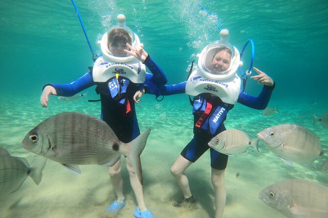 Sea Trek Underwater Walk in Tenerife – No Swimming Required - Price and value: what you’re really paying for
