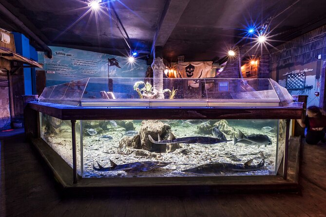 Sealife Benalmadena Entrance Ticket - What SEA LIFE Benalmádena gets you (and why it’s a simple win)