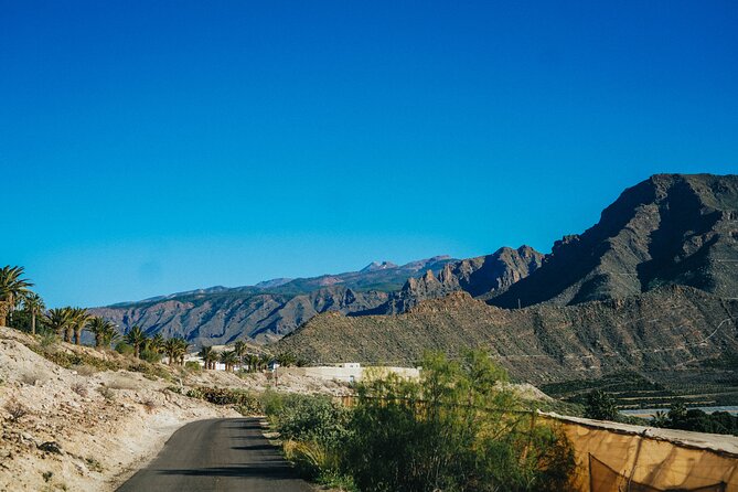 Secret Volcano Tour by Tuk Tuk in Costa Adeje - Tuk-tuk transport in Costa Adeje: fast, safe, and fun
