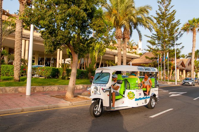 Secret Volcano Tour by Tuk Tuk in Costa Adeje - What you get for the price: $29.04 for a tight, guided loop