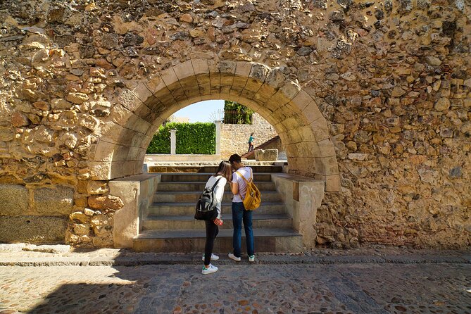 Segovia and Avila Day trip from Madrid with Gourmet Lunch - Bilingual guiding and audio: how to make the most of it