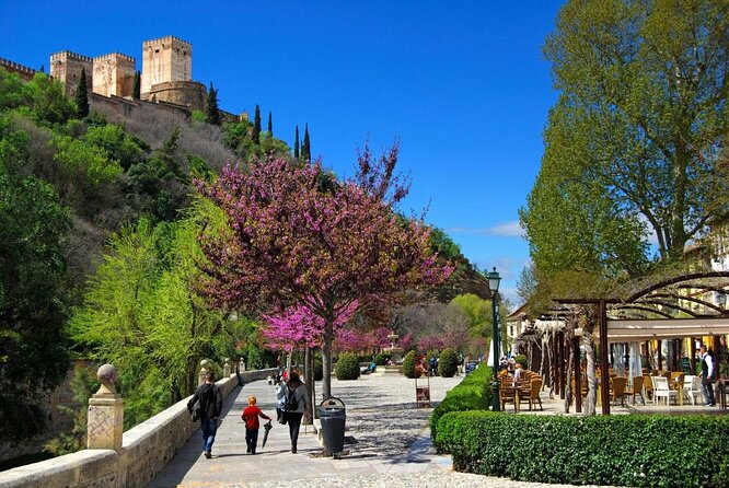 Segway Your Way Through Granada's History: The Ultimate Ride - Entering Granada on wheels: why a Segway fits the hills