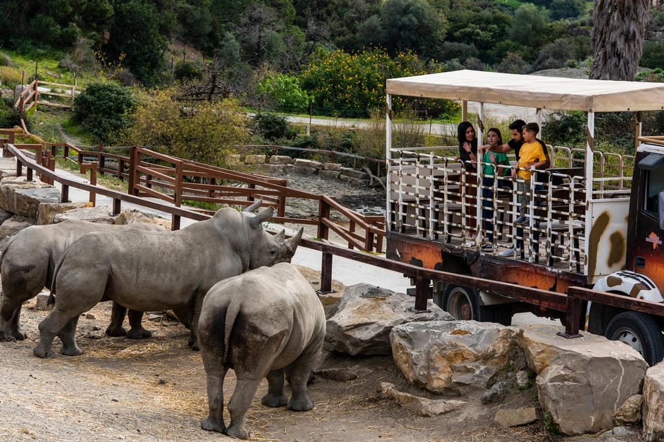 Selwo Aventura Admission Ticket with Skip-the-Line Access - The Serengueti 4x4 safari: likely the biggest add-on you’ll plan for