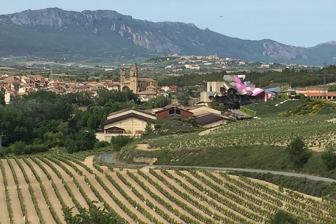 Semi-Private Rioja Tour of 3 Premium Wineries from Bilbao - Stop 1 in Haro: the underground winery and premium tastings