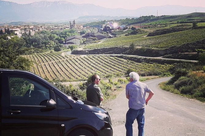 Semi-Private Rioja Tour of 3 Premium Wineries from Bilbao - Stop 2 in Samaniego: boutique family wineries and food pairings