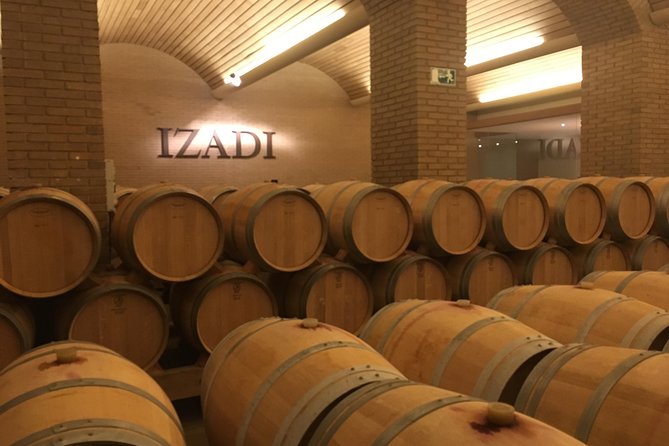 Semi-Private Rioja Tour of 3 Premium Wineries from Bilbao - The tastings: what “9–10 wines” really means for your day