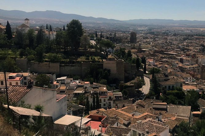 Semi Private Tour to the Alhambra from Nerja - Tips to make your Alhambra and Albayzín day smoother