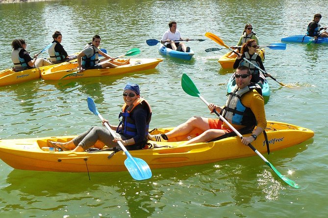 Sevilla 2 Hour Kayaking Tour on the Guadalquivir River - Paddling conditions and effort level: what moderate fitness means in real life