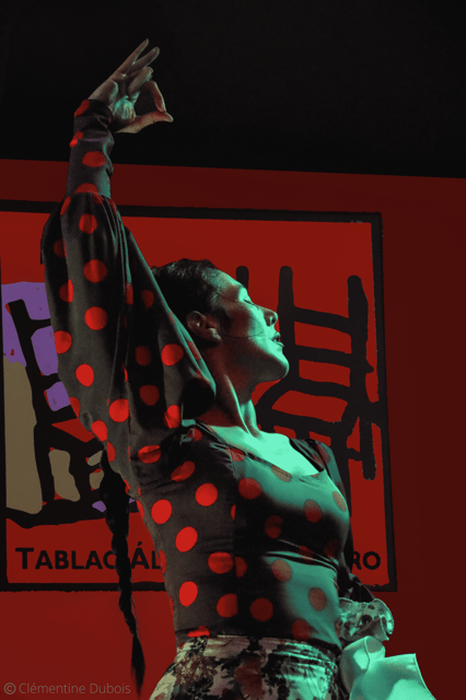 Sevilla: Flamenco Show at Tablao Álvarez Quintero - The One-Hour Show Format: What Happens From Start to Finish