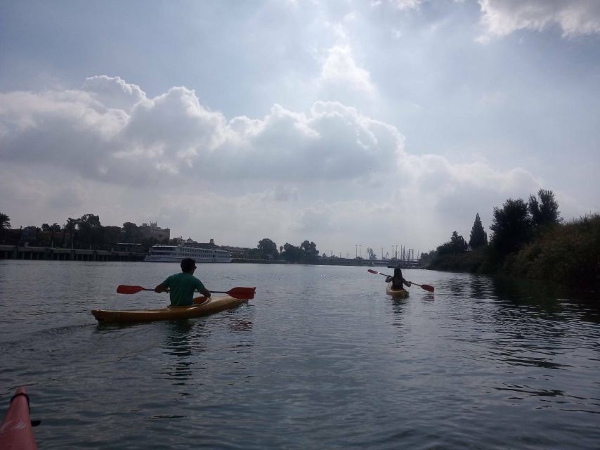 Sevilla: Kayak Rental on the Guadalquivir - Nature on the River: Turtles, Ducks, and Birds Over the Bank
