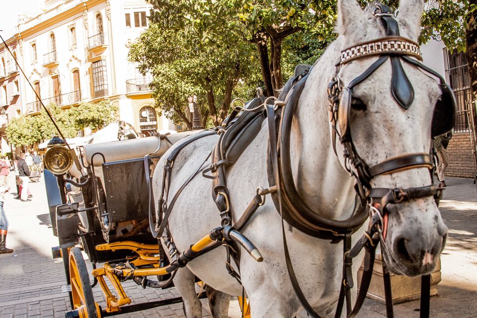 Seville: Authentic and Romantic Horse-Drawn Carriage Ride - FAQ