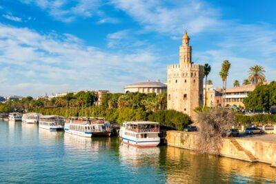 Seville: Authentic and Romantic Horse-Drawn Carriage Ride - What the driver actually does (and why it matters)