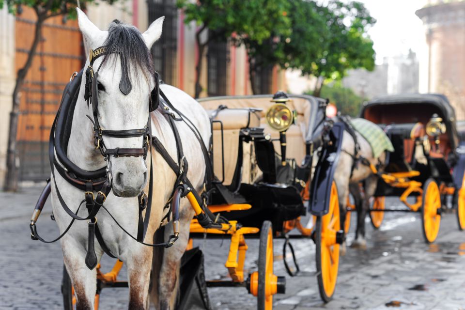 Seville: Authentic and Romantic Horse-Drawn Carriage Ride - Price and value: $118 per group up to 4