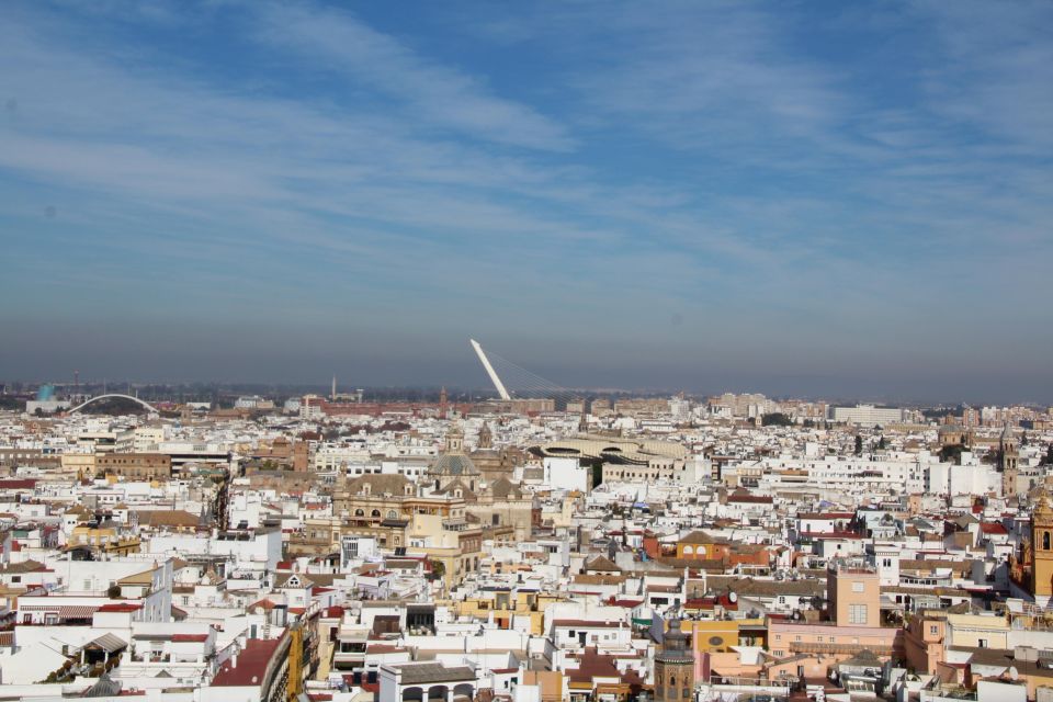 Seville: Cathedral and Giralda Skip-the-line Guided Tour - Who this 1-hour Seville Cathedral tour suits best