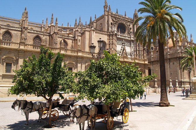 Seville: Cathedral & Giralda Guided Tour with Tickets - What kind of traveler should book this?