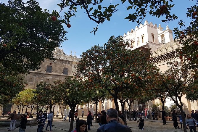 Seville Cathedral Tour including tickets and skip the line entry - Skip-the-line entry: what it buys you (and what to expect anyway)