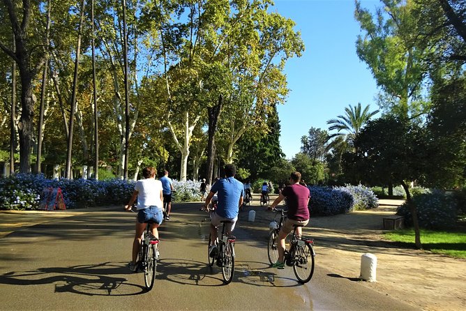 Seville Electric Bike Tour - Small Group - Royal Tobacco Factory and Ayuntamiento: Where the City Shows Its Power