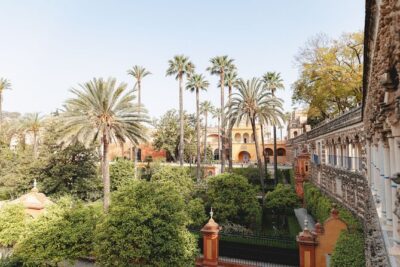 Seville Exclusive Beat the Crowds Guided Alcazar Before Opening - Meeting in Plaza del Triunfo and the small-group setup