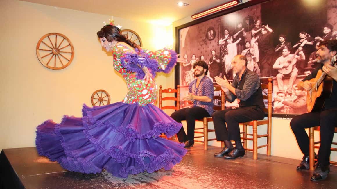 Seville: Flamenco Show & Cocktail Experience - A practical way to enjoy it more
