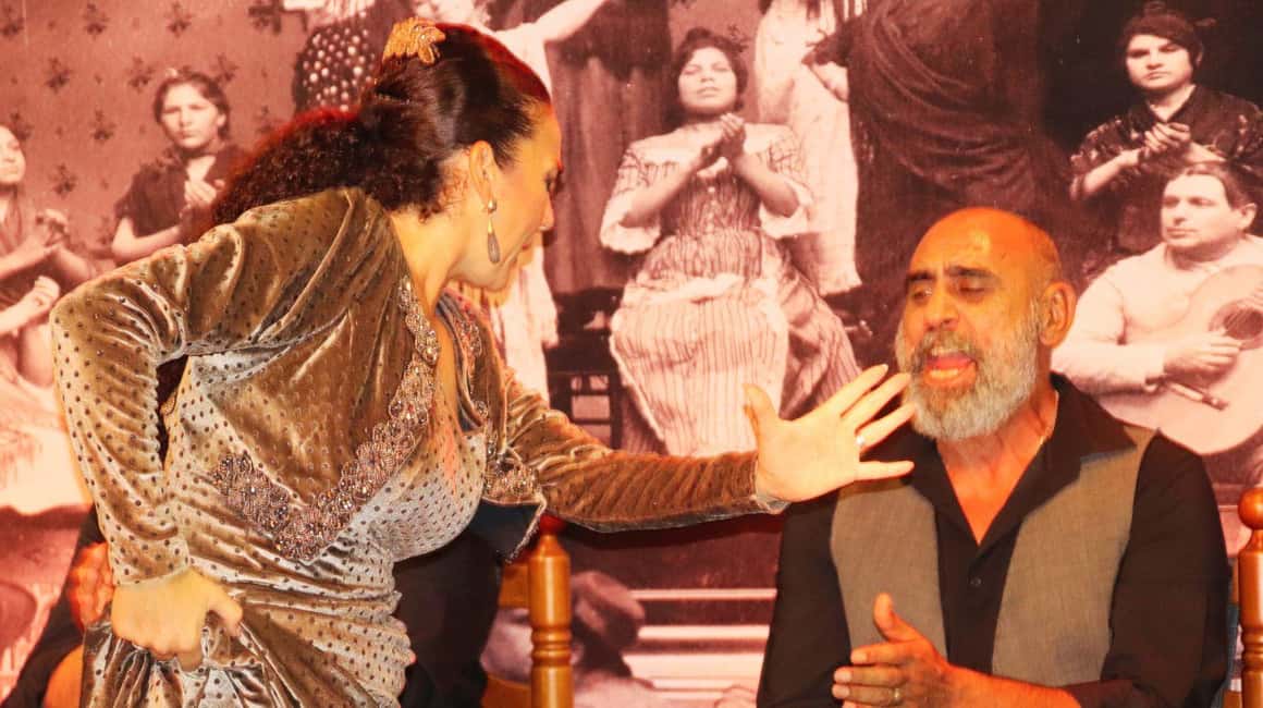 Seville: Flamenco Show & Cocktail Experience - Who this works best for
