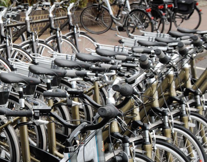 Seville: Guided Tour by Electric Bike - Why this 3-hour e-bike loop is such a smart first move