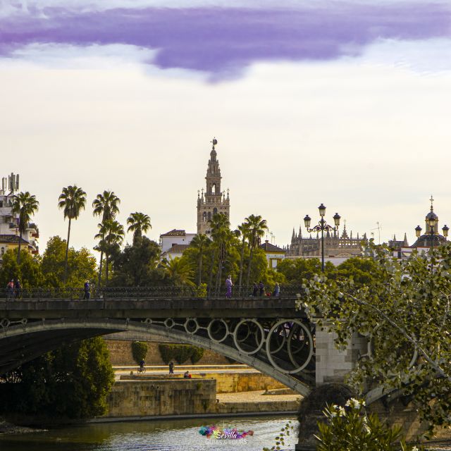 Seville: Guided Walking Tour with Optional Breakfast - Plaza de San Francisco and City Hall: Getting Oriented Without Guesswork