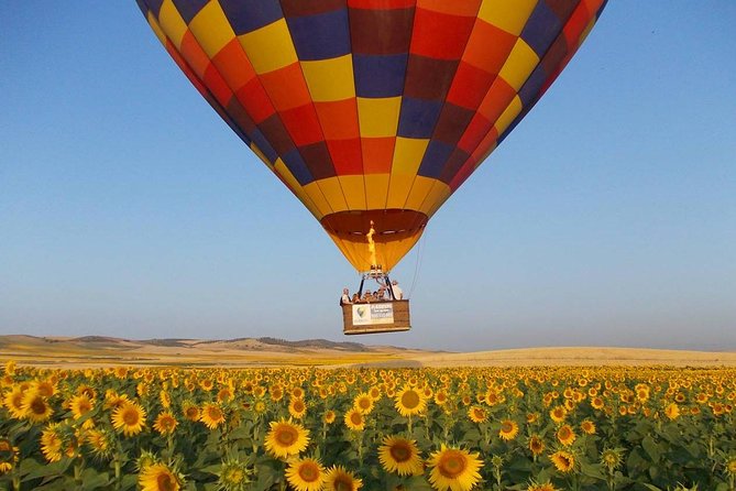 Seville Hot-Air Balloon Ride with Breakfast, Cava & Hotel Pick up - A Small-Group Balloon Morning, Built for Views