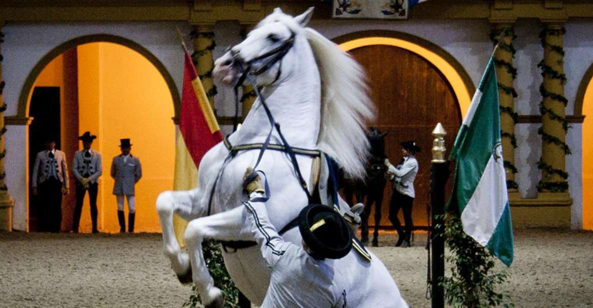 Seville: Jerez, Cadiz Wine Tasting with Optional Horse Show - Key points to know before you go