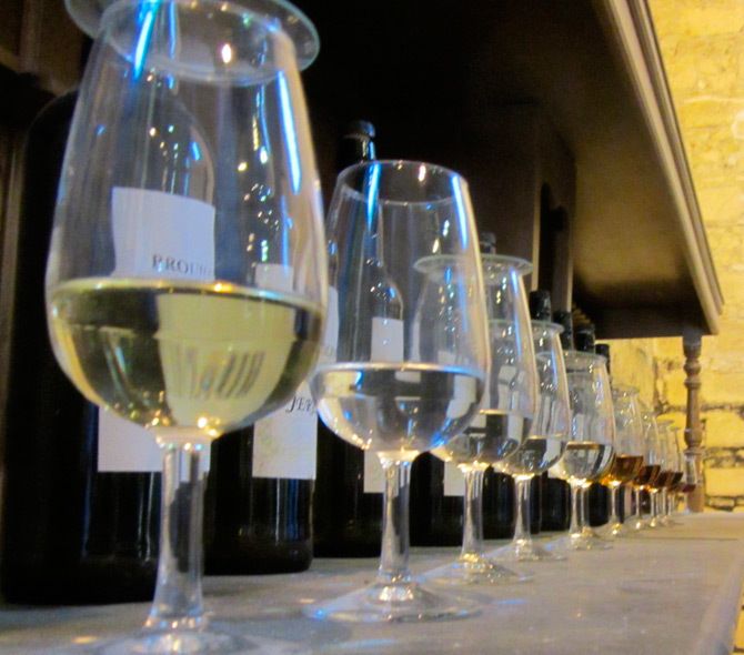 Seville: Jerez, Cadiz Wine Tasting with Optional Horse Show - A 10-hour rhythm: from Seville pickup to sherry in Jerez