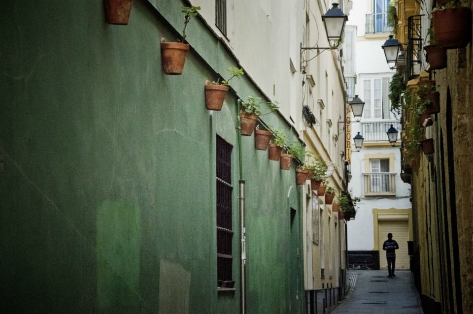 Seville: Jerez, Cadiz Wine Tasting with Optional Horse Show - Costa de la Luz to Cadiz: orientation before you roam