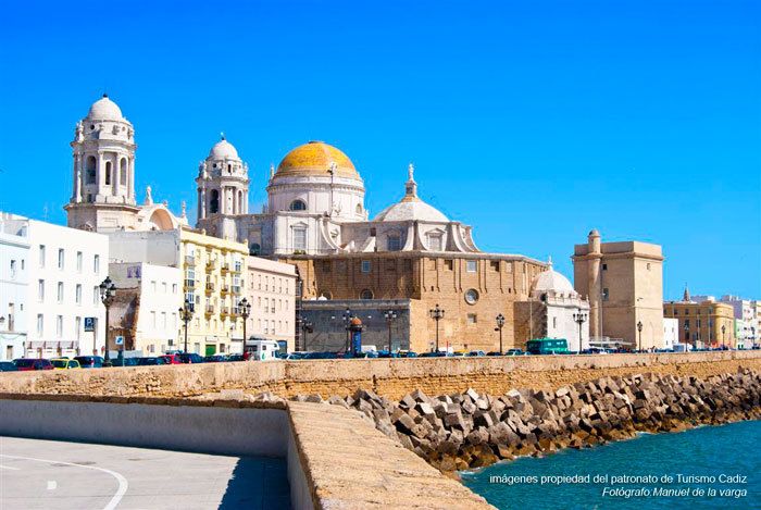 Seville: Jerez, Cadiz Wine Tasting with Optional Horse Show - Cadiz on your own: a practical plan for that 3-hour window