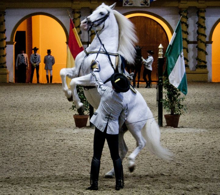 Seville: Jerez, Cadiz Wine Tasting with Optional Horse Show - Price and value: what $115 covers in real terms