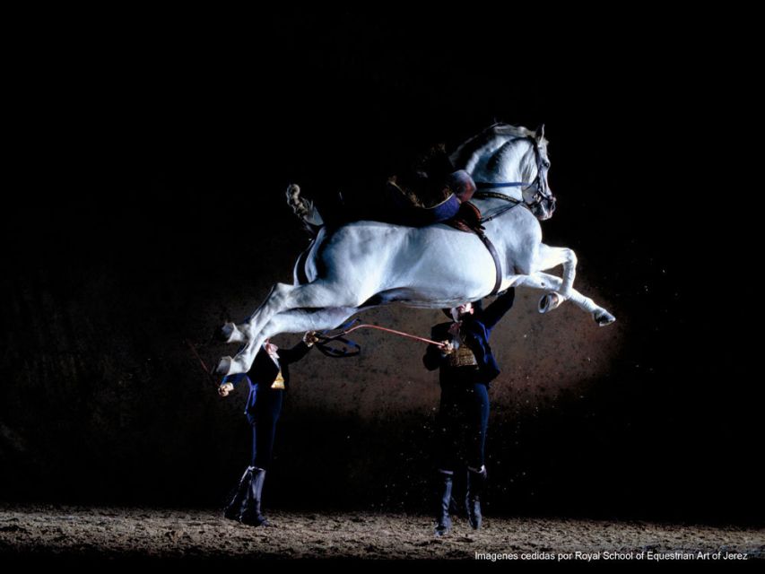 Seville: Jerez, Cadiz Wine Tasting with Optional Horse Show - Who this tour suits best (and who should look twice)