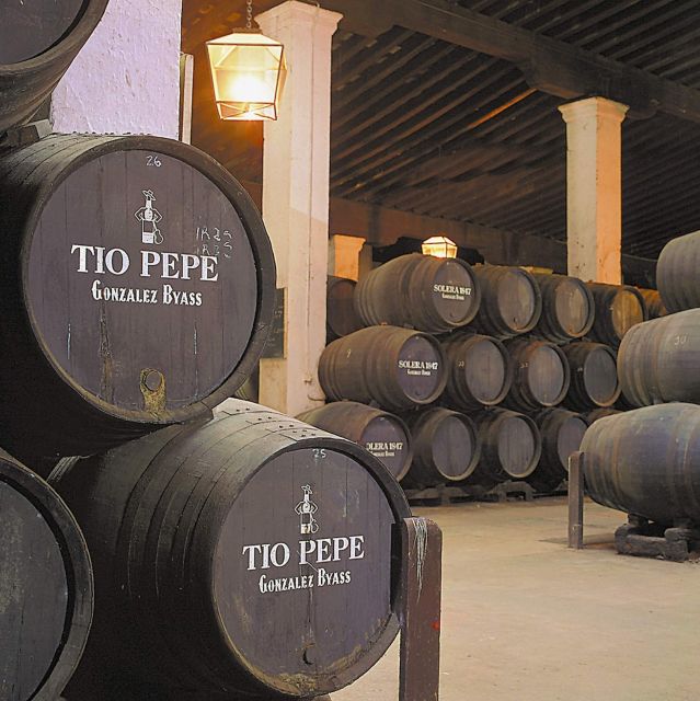 Seville: Jerez, Cadiz Wine Tasting with Optional Horse Show - Inside a Jerez bodega: what you learn before you taste