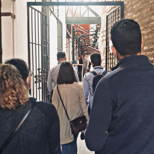 Seville Jewish Quarter walking tour: Santa Cruz District - Patio de Banderas: finishing in the heart of the city’s old texture