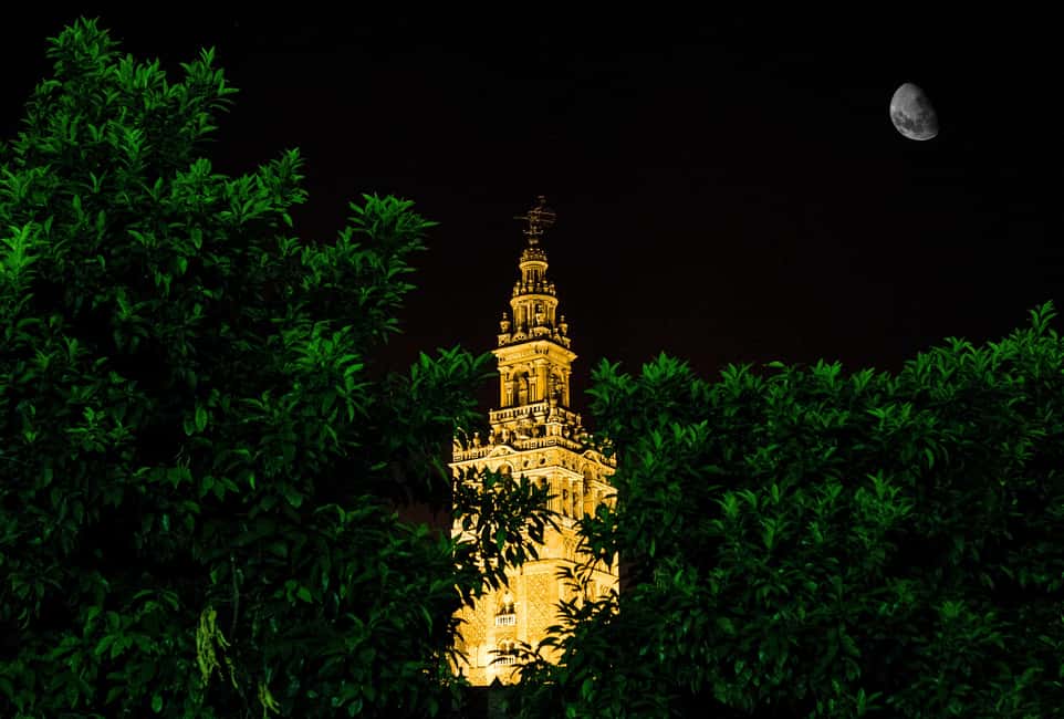 Seville Night Tour: A Must-Do - Price and Value: The Real Math Behind $11 for Two Hours