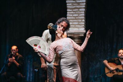 Seville: Puro Flamenco Show with Optional Museum Ticket - What you’ll see in the 60-minute Puro Flamenco show