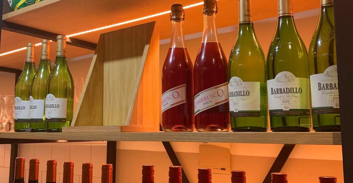 Seville: Sherry Wine Tasting with Light Snacks - The five sherries: what you should pay attention to