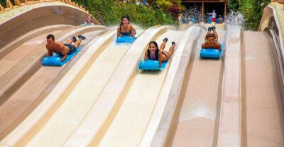 Siam Park Entry Tickets - Arrival and First Impressions: Sea Lions, Thai-Theme Setup, and Fast Orientation