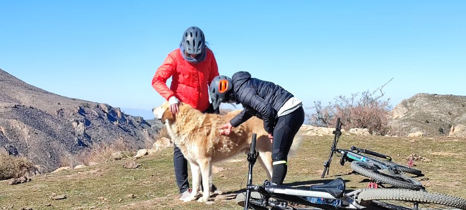 Sierra Nevada Small Group E-Bike Tour - Riding back to Granada: long enough to matter, smooth enough to enjoy