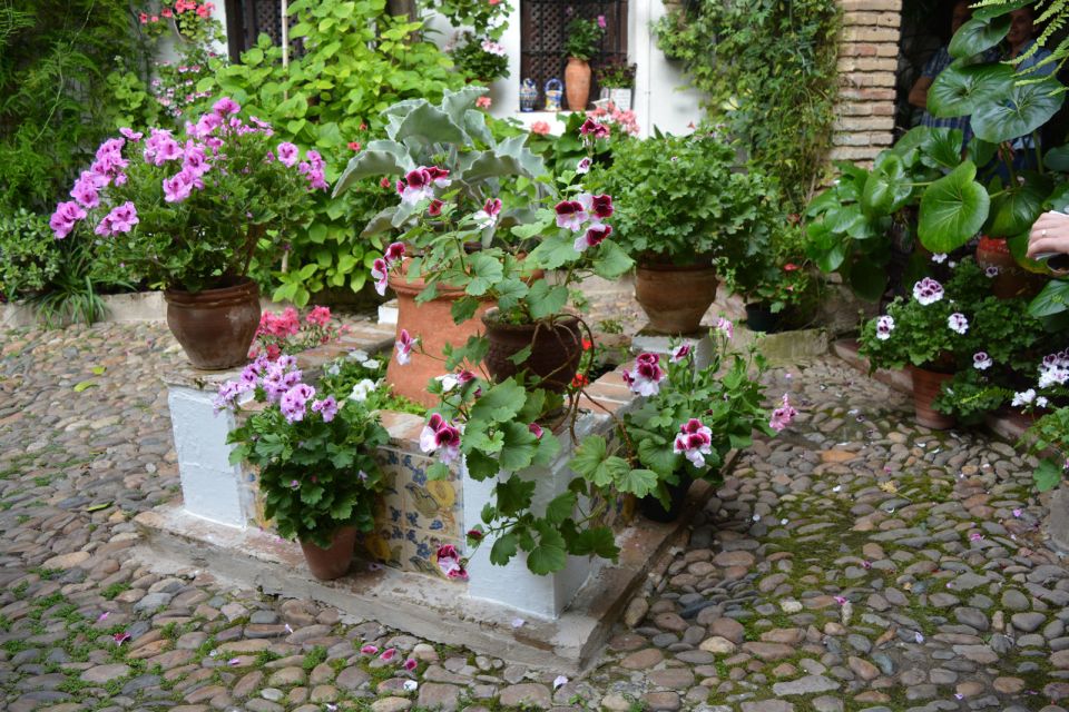 Sights, Sounds, and Scents of Córdoba's Patios - Who This Tour Fits Best (and Who Might Skip It)