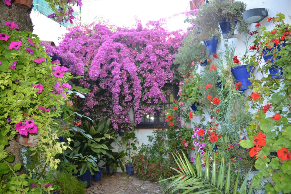 Sights, Sounds, and Scents of Córdoba's Patios - Córdoba Patios in May: What the Competition Adds to Your Walk