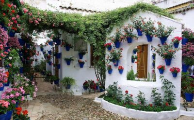 Sights, Sounds, and Scents of Córdoba's Patios - Meeting at Manolete and Getting Oriented in Santa Marina