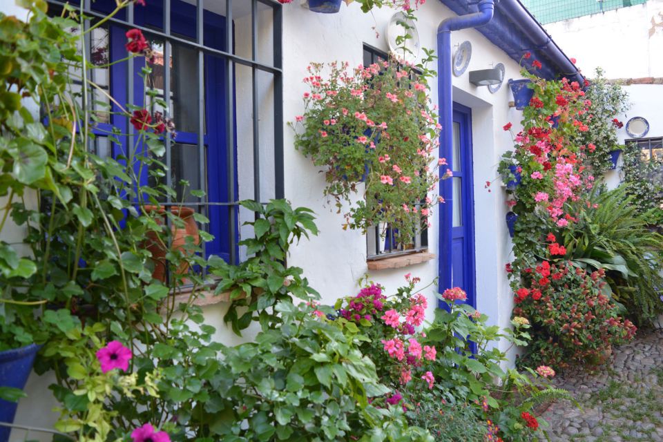 Sights, Sounds, and Scents of Córdoba's Patios - What You’re Actually Seeing: Patios Populares and Year-Round Care