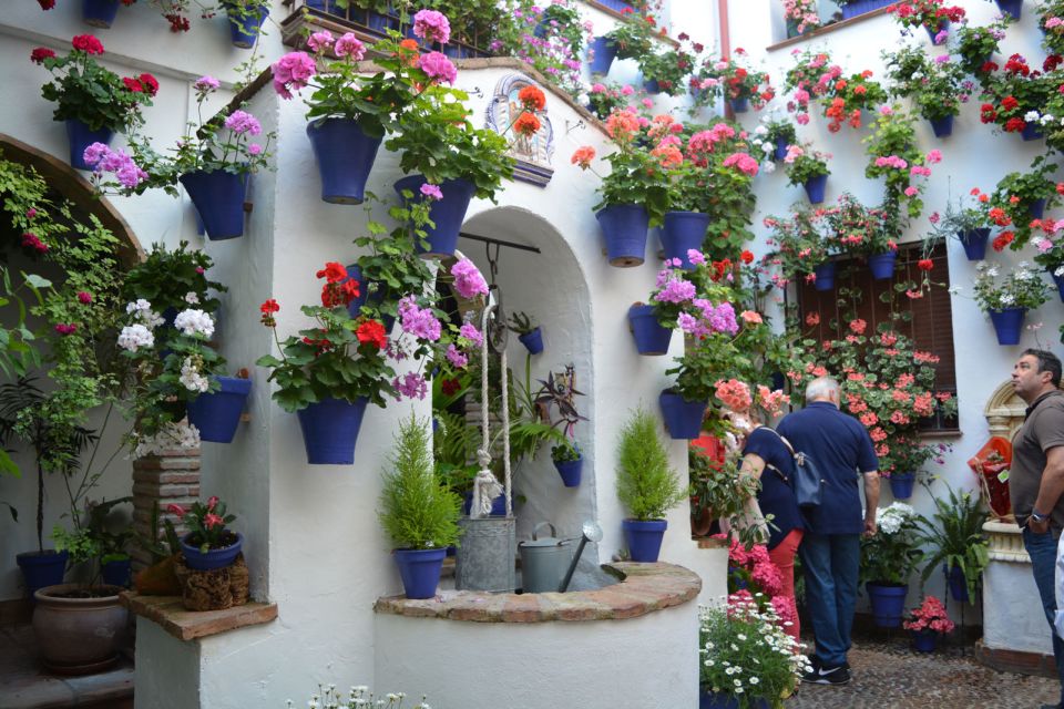 Sights, Sounds, and Scents of Córdoba's Patios - How the Stops Feel: Photos, Small Moments, and Competition Winners