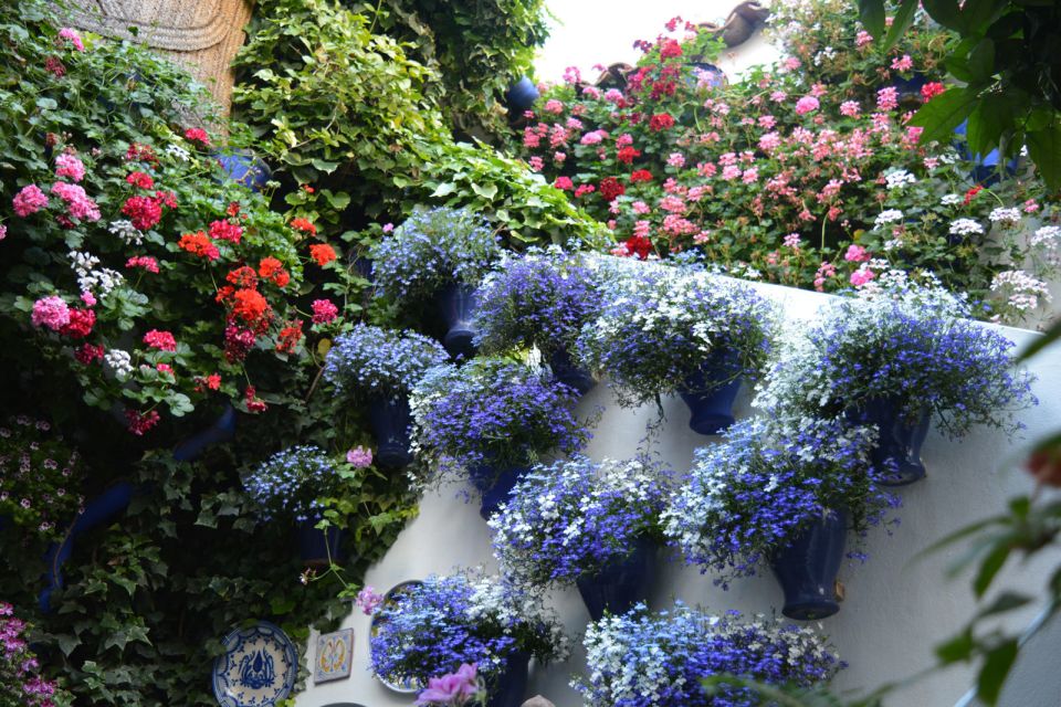 Sights, Sounds, and Scents of Córdoba's Patios - The 5-Minute Wine Stop: Montilla-Moriles Fino, Explained Simply